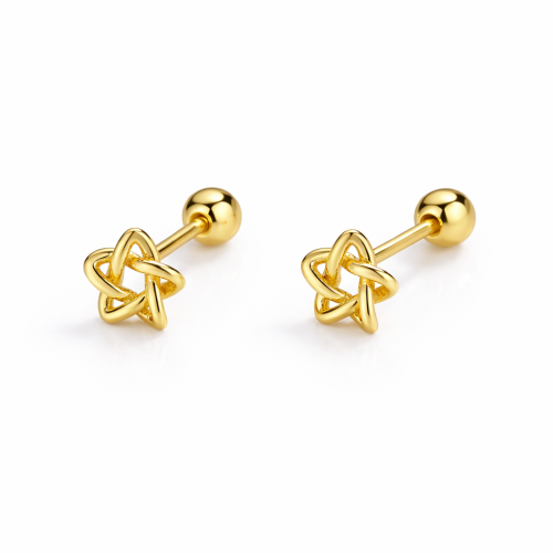 18K Gold Plated Star Stud Earrings